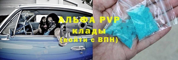 индика Нефтекумск
