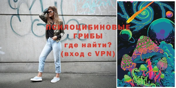 индика Нефтекумск
