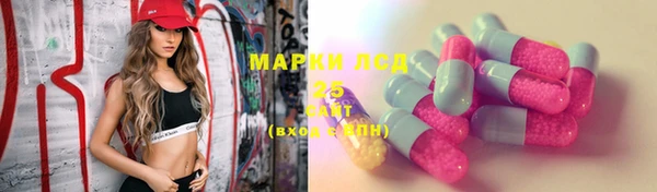 индика Нефтекумск