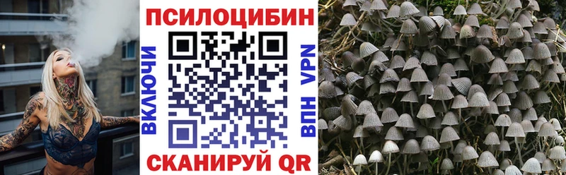 Галлюциногенные грибы GOLDEN TEACHER  KRAKEN сайт  Сарапул 
