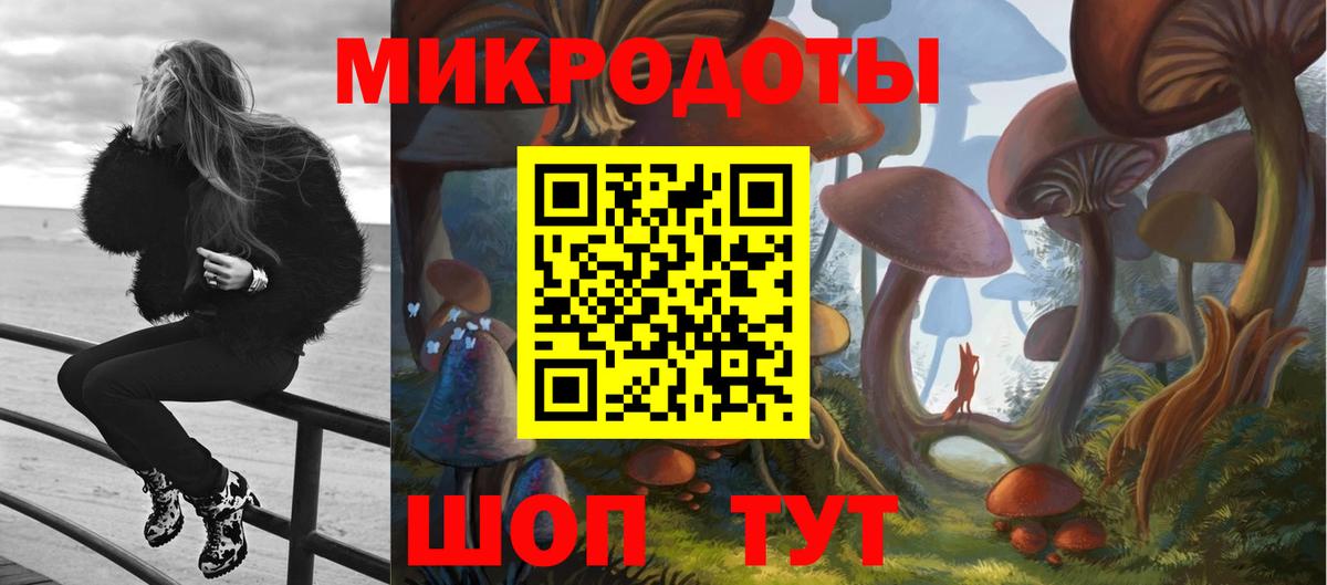 Псилоцибиновые грибы мицелий Сарапул